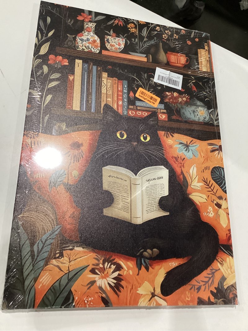 Condition photo showing New/Like New for framed funny black cat canvas wall art boho cat reading book picture wall decor cute animal poster print artwork for reading room living room office study room home decoration 16x24in canvas 16l''x24w''