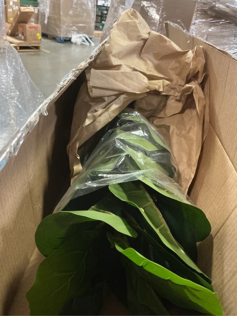 Condition photo showing Good Condition for besamenature artificial fiddle leaf fig tree/faux ficus lyrata for home office decoration, 30.5" tall, with cotton rope basket white and brown basket 1