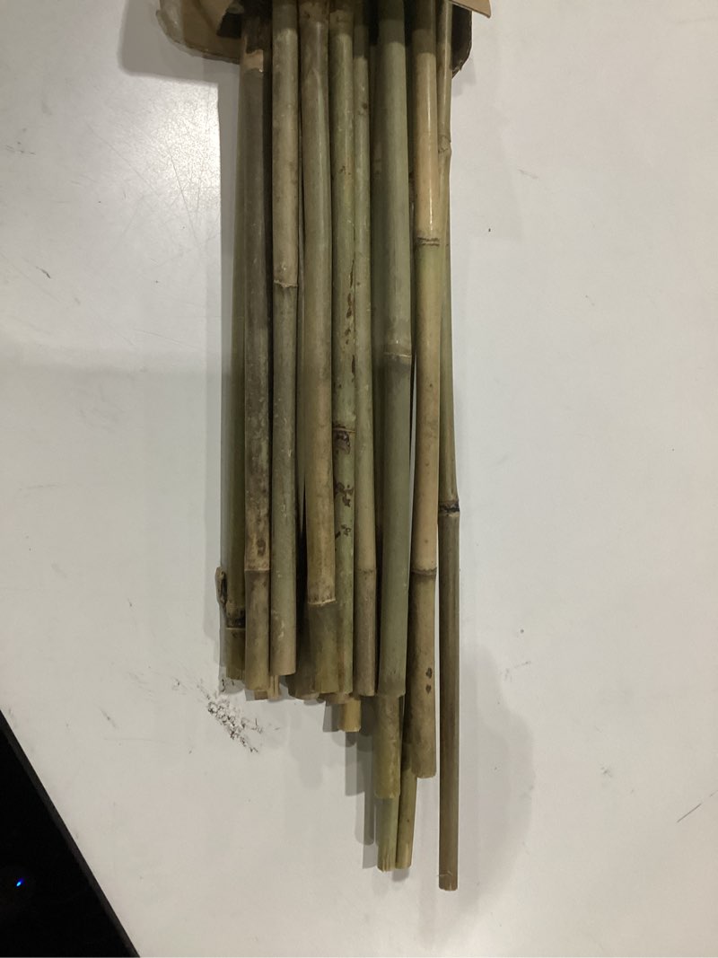 Condition photo showing As Is for cambaverd bamboo stakes 4ft natural plant stakes for tomatoes, beans, climbing plants support - 25 pack bamboo sticks for plants 4 ft-25pack