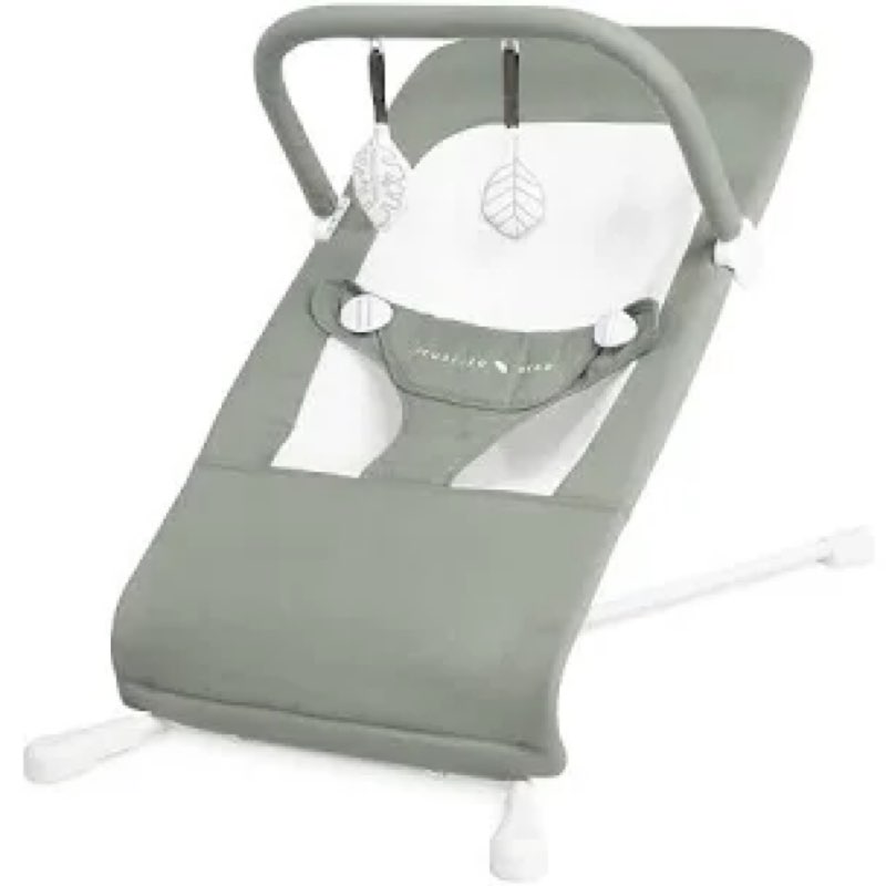 baby delight highland organic baby bouncer | infant | 0 – 6 months | 3-position recline | organic sage