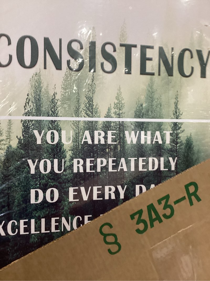 Condition photo showing New/Like New for Inspirational Canvas Posters Wall Art Motivational Entrepreneur Quotes 3 Piece Picture Print Positive Painting Artwork for Home Bedroom Office Wall Decoration Stretched and Framed [48''Hx24''W] Commitment 48"L x 24"W