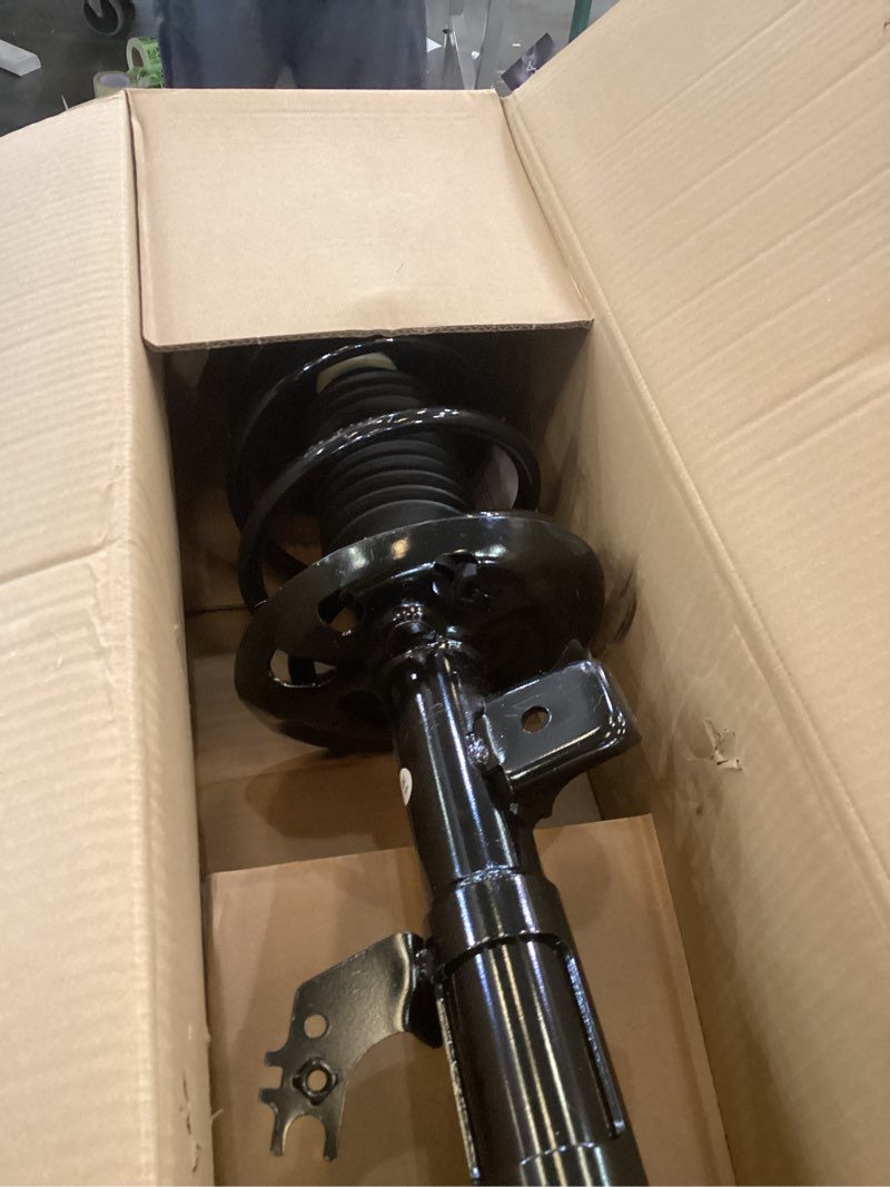strut assembly