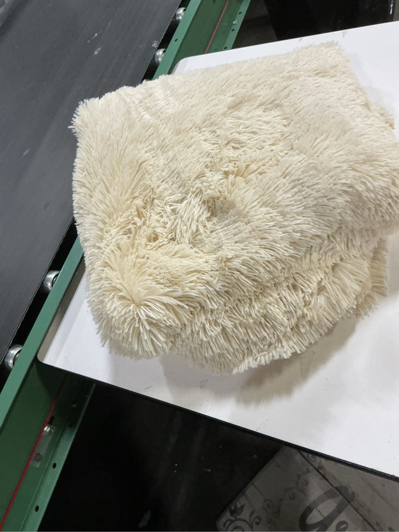 Condition photo showing Good Condition for Bedsure GentleSoft Fuzzy Sherpa Faux Fur Blanket Beige Cozy Gifts for Women Men, Soft Fleece Plush Warm Minky Thick Blanket Twin Size for Couch, Room Decor Dorm Bed Essentials Beige Decor, 60x80 06- Beige Twin (60" x 80")