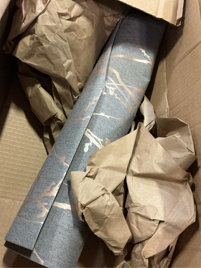 Condition photo showing Good Condition for innocence charcoal and copper wallpaper