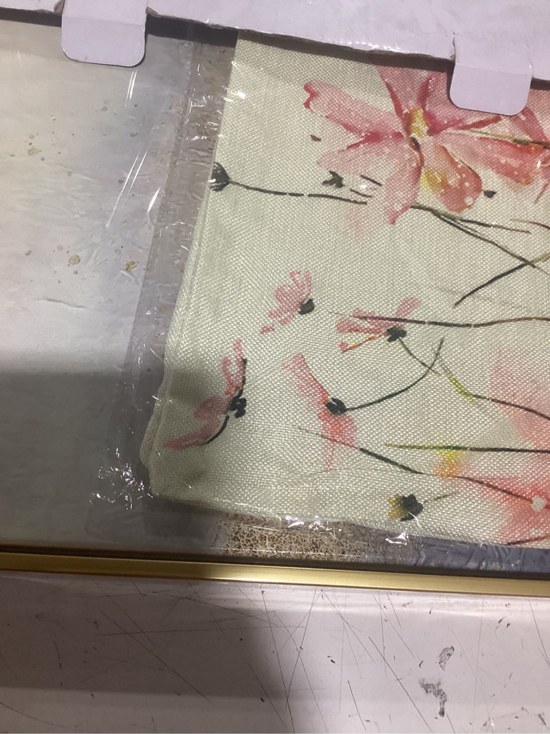 Condition photo showing Good Condition for framed pink peony flower canvas wall art modern pink and gold floral painting decor pictures abstract flowering posters prints for corridor living classroom bedroom woman room decoration flower 16"l x 12"w
