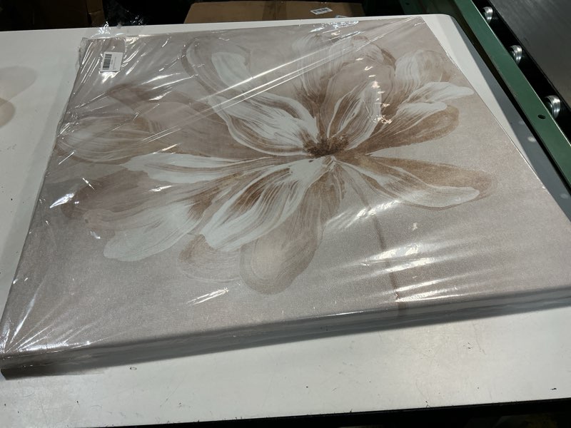 Condition photo showing Good Condition for seven wall arts white flower wall art beige and gold blooming flower abstract floral artwork print poster for living room bedroom bathroom home office wall decor 24"x24" blooming flower 24"l x 24"w