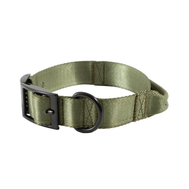 Mammoth Adjustable Waterproof Fashion Dog Collar, Green Medium