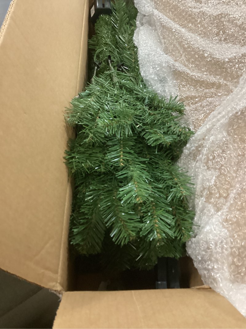 Condition photo showing Good Condition for National Tree Company 4 ft Pre-Lit Grande Canadian Fir Mini Artificial Christmas Tree, 100 Clear Lig