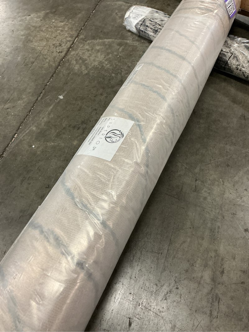 Condition photo showing Good Condition for superior indoor area rug, jute backing, plush carpet cover, for hallways, entry, office, plush floor