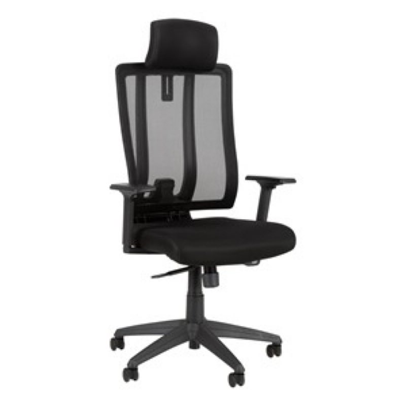 Premium High Back Ergonomic Office Chair black 