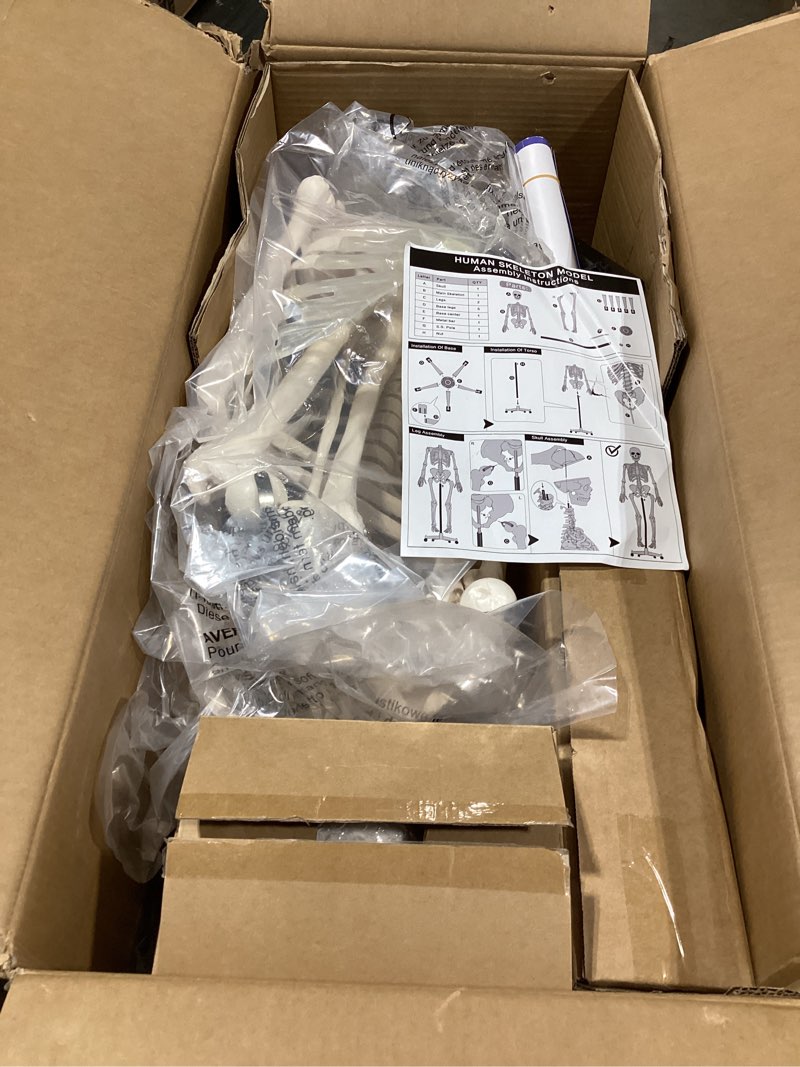 Condition photo showing Good Condition for breesky Human Skeleton Model for Anatomy- Life Size Medical Human Skeleton Model with Nervous System 70.8 in with Rolling Stand for Medical Study and Display 3 Posters 70.8 Inches Human Skeleton Model 70.8 Inches Human Skeleton Model