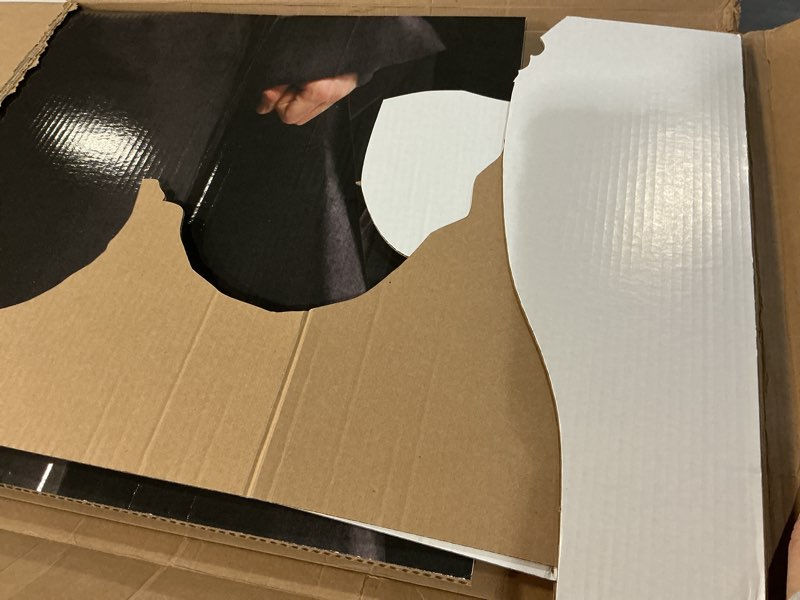 Condition photo showing Good Condition for Cardboard People Harry, Hermione & Ron in Robes Life Size Cardboard Cutout Standup - Harry Potter and The Order of The Phoenix