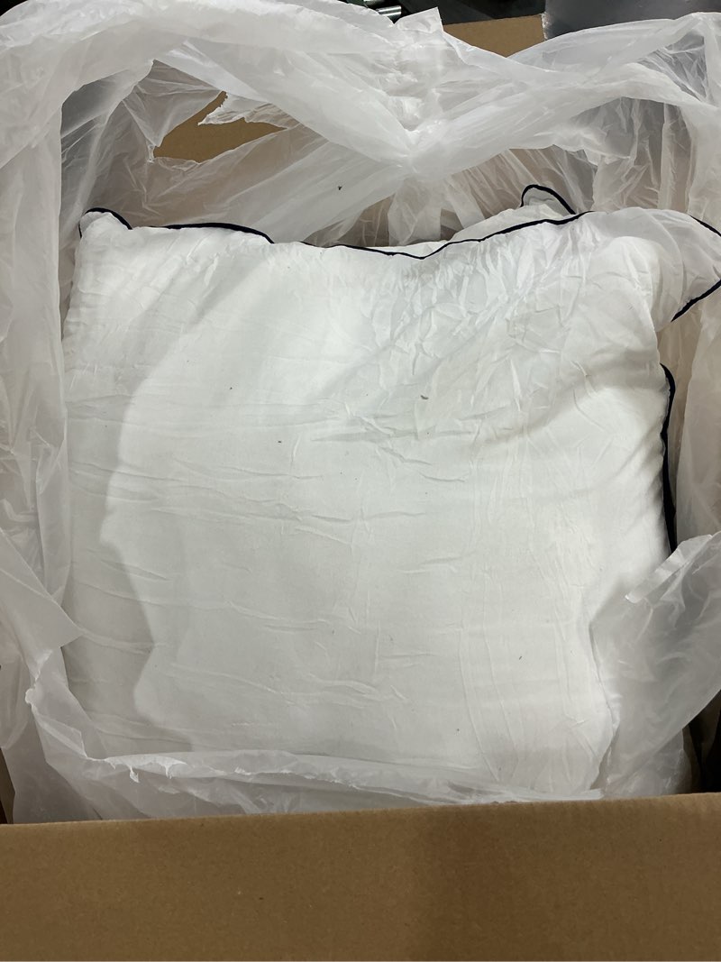 Condition photo showing Good Condition for Throw Pillow Inserts Set of 2-Fluffy Square Cushions with 100% Cotton Covers-Decorative White Pillow Fillers for Sofa, Bed, Couch, Living Room, Indoor Hotel Pillows (22x22 Inch (Pack of 2)-Blue Edge)