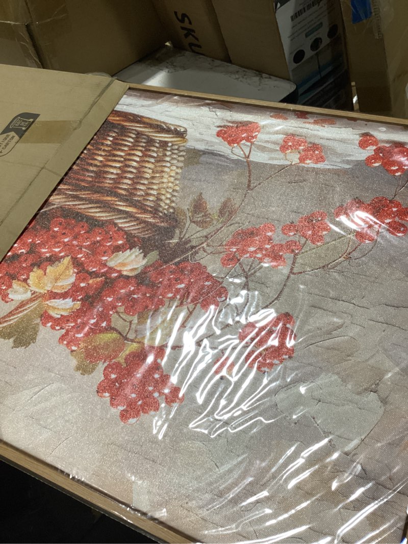 Condition photo showing As Is for phaohuaxm canvas wall decoration for living room restaurant wall art for office bedroom abstract red fruit wall decor wooden frame printing picture artworks mural modern home decoration 20"x40" 40"l x 20"w red fruit mural wooden frame
