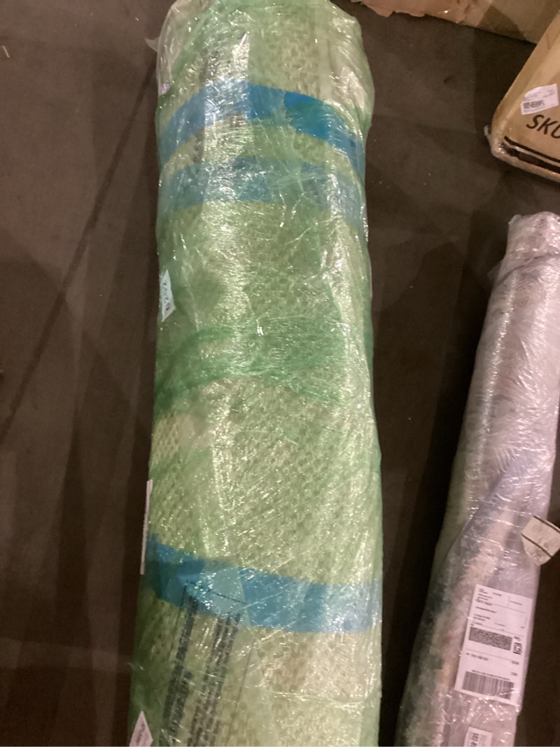 Area Rug