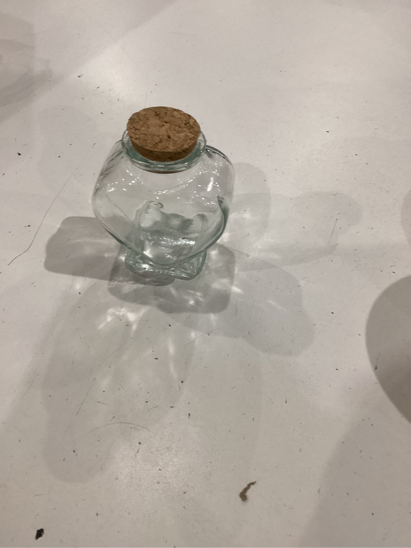 Condition photo showing Good Condition for pet hair keepsake bottle for dogs & cats, memorial glass bottle with heart design, includes 2 silver accessories, pet fur keepsake for pet loss remembrance, heart shape