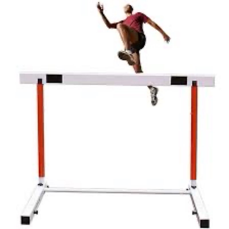 NELOMO Adjustable Hurdle Training Hurdle Track and Field Equipment Professional Track and Field Hurd