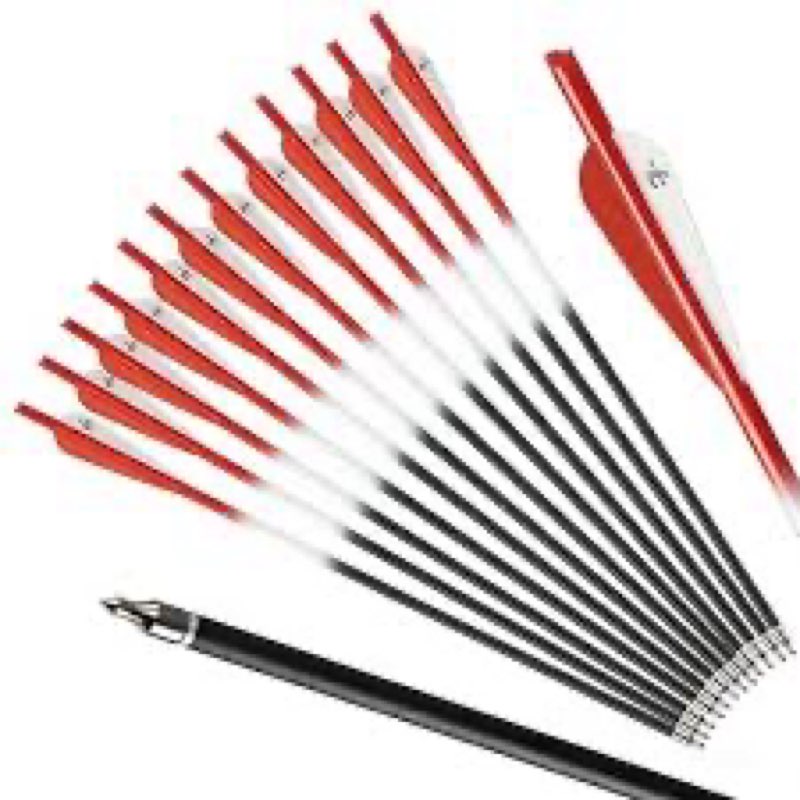 S F Crossbow Bolts Crossbow Arrows Carbon Archery for Hunting and Target Practice(Red 12-Pack)