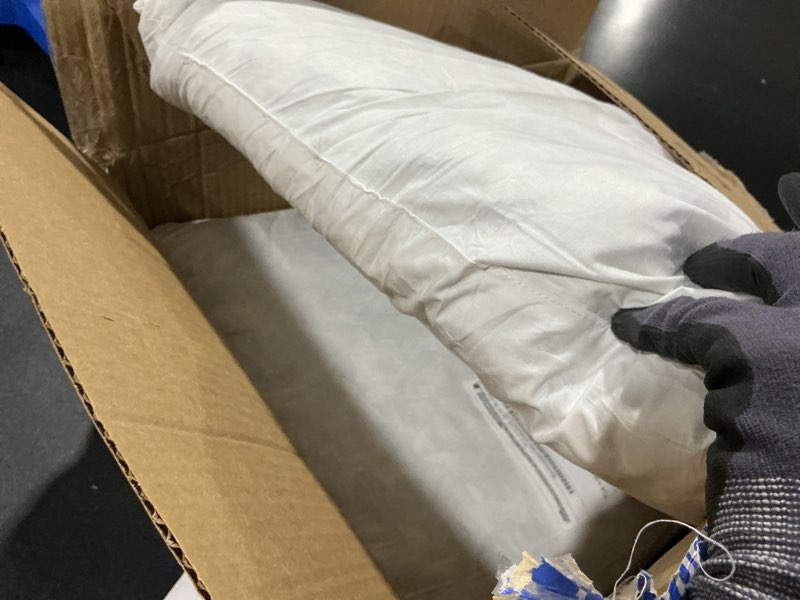 Condition photo showing Good Condition for topgreen feathers down throw pillow inserts 16 x 16, set of 2, 100% organic cotton shell, soft decorative square pillows insert for living room sofa, couch, or bed (white) 16x16 inch 2