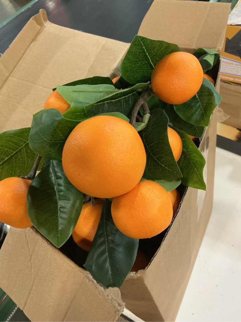Condition photo showing Good Condition for daifunli 10 pcs artificial tangerine branches 25 inch realistic faux oranges fruit with green leaves simulation orange branch decorative kumquat tangerine for vase home party decoration (6 oranges) 10 6 oranges 25 inch