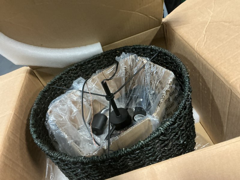 Condition photo showing Good Condition for allen + roth Adara 2-Light Matte Black Traditional Drum Medium Hanging