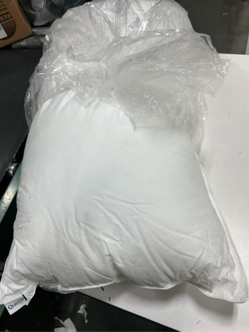 Condition photo showing As Is for quince premium down alternative pillow king