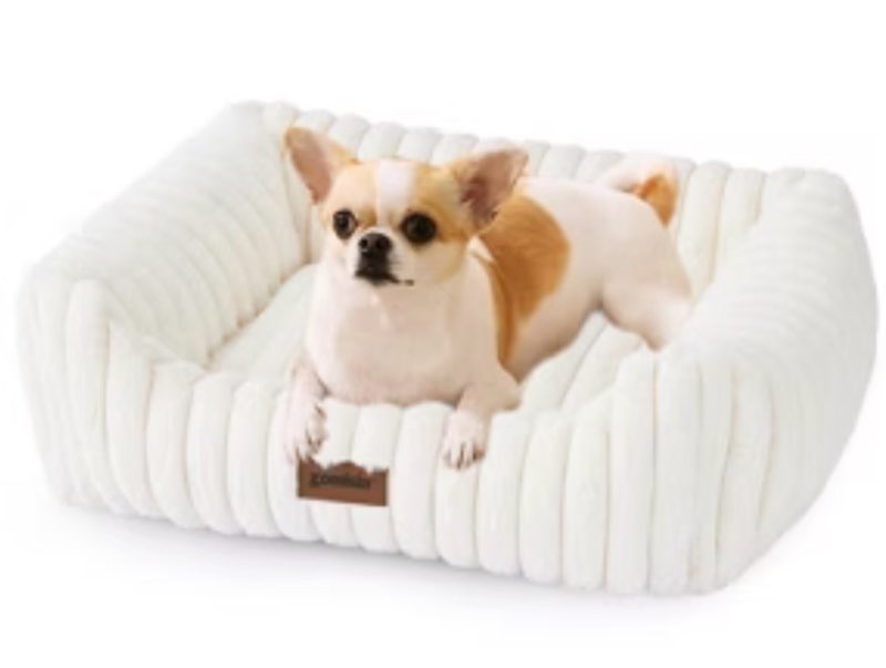 bedsure comfyfleece cute dog couch for medium dogs- fluffy pet sofa, dog couch bed with removable, washable cover, supportive pet bed for medium large dogs, 36inch, cream
