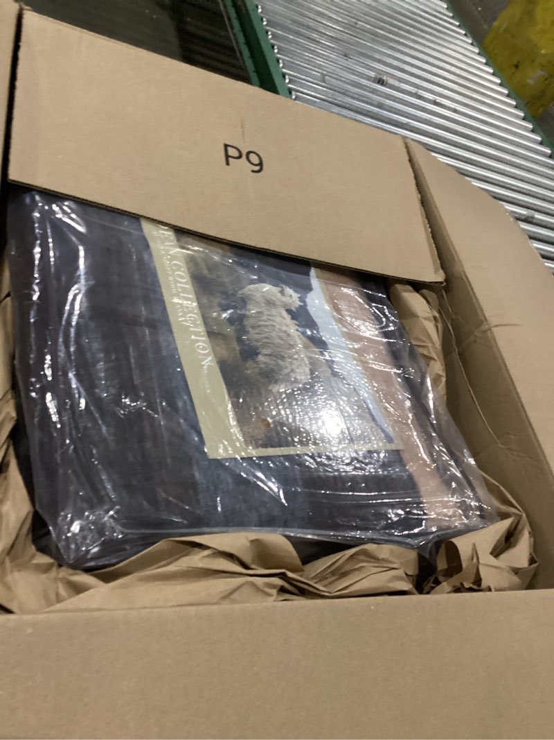 Condition photo showing Good Condition for Natural Alpaca & Sheep Wool Blanket – King Size – Heavyweight Warmth, Thick, Breathable, Natural Tex