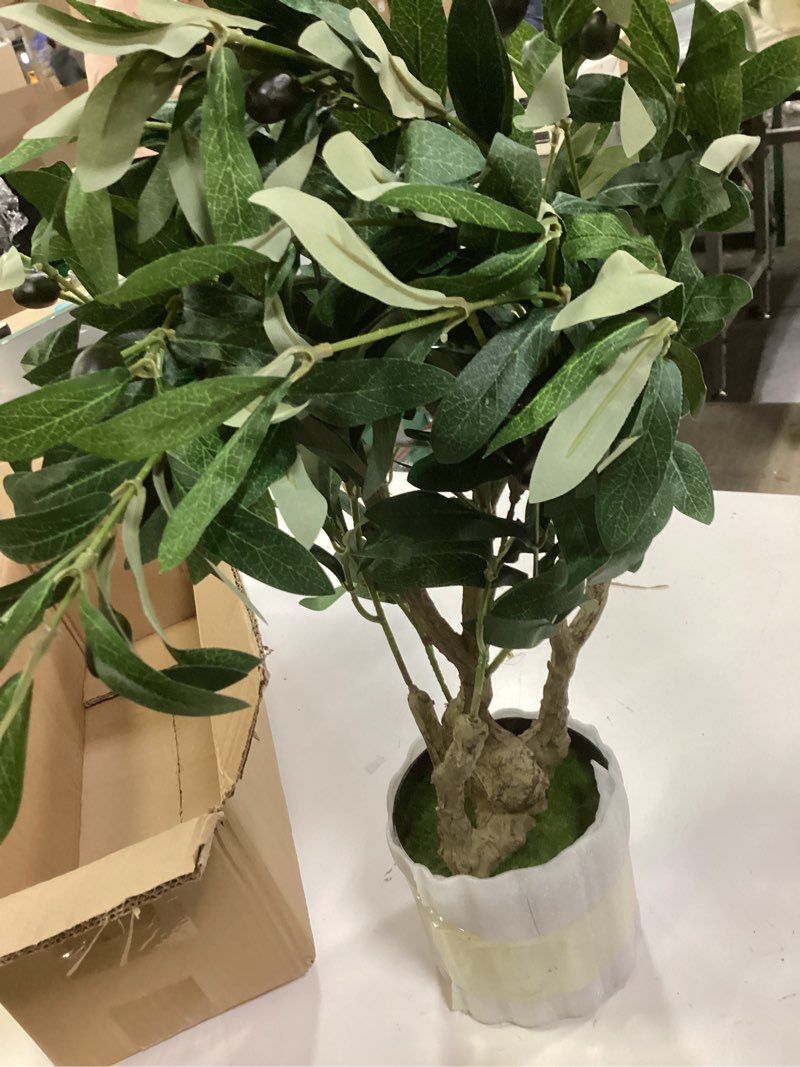 Condition photo showing Good Condition for 2ft Artificial Easter Olive Tree with Pot, Spring Tabletop Faux Plants Mini Trees for Home Office Li
