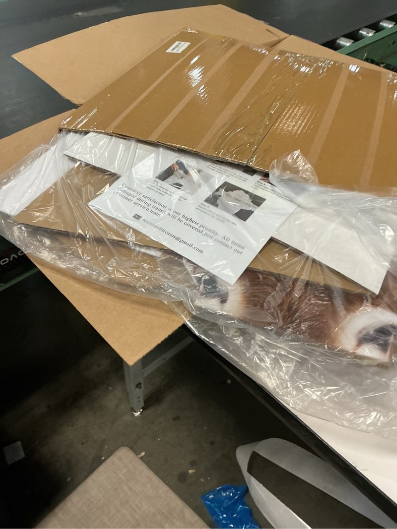 Condition photo showing Good Condition for Donkey - Life Size Cardboard Cutout Standup People with Support Standee | Animals