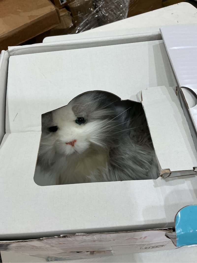 Condition photo showing As Is for joy for all ageless innovation companion pets | silver cat with white mitts | lifelike & realistic | comfort, joy & companionship