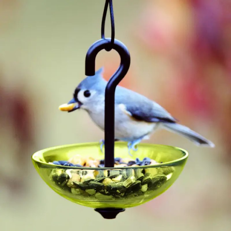 Mosaic Birds M386-200 Single Hanging Poppy Feeder, Lime