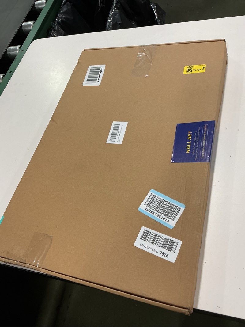 Condition photo showing New/Like New for 2Pcs Framed Black and White Flower Abstract Wall Art Modern Neutral Canvas Prints Posters Pictures Gallery Wall Decor Living Room Bedroom Office Apartment 16X24 Inch Ready to Hang Black and White Flowers 16"L x 24"W