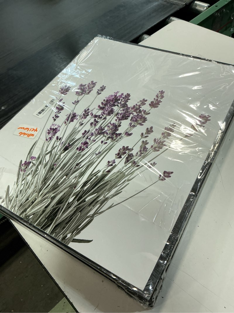 Condition photo showing Good Condition for haus and hues botanical wall art frame - set of 3 calming lavender prints, plant posters, frame floral prints, minimalist flower pictures, lavender couch art print (black frame, 16x20) 16"l x 20"w black framed lavender plants