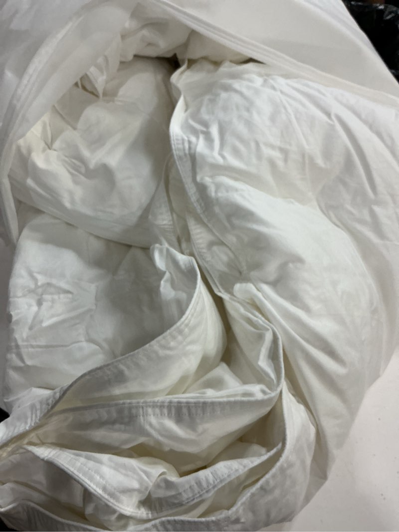 Condition photo showing Good Condition for quince, european down alternative comforter (full/queen)white