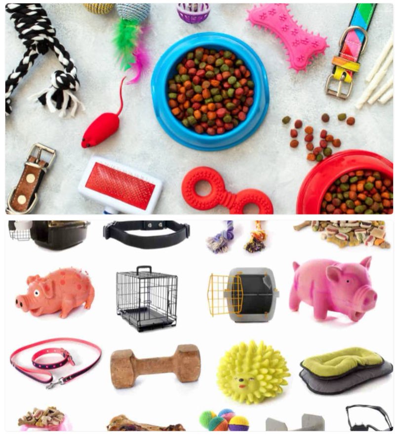Assorted Pet Essentials ( Pet Toys, Pet Leashes, Pet Clothes, etc.) 