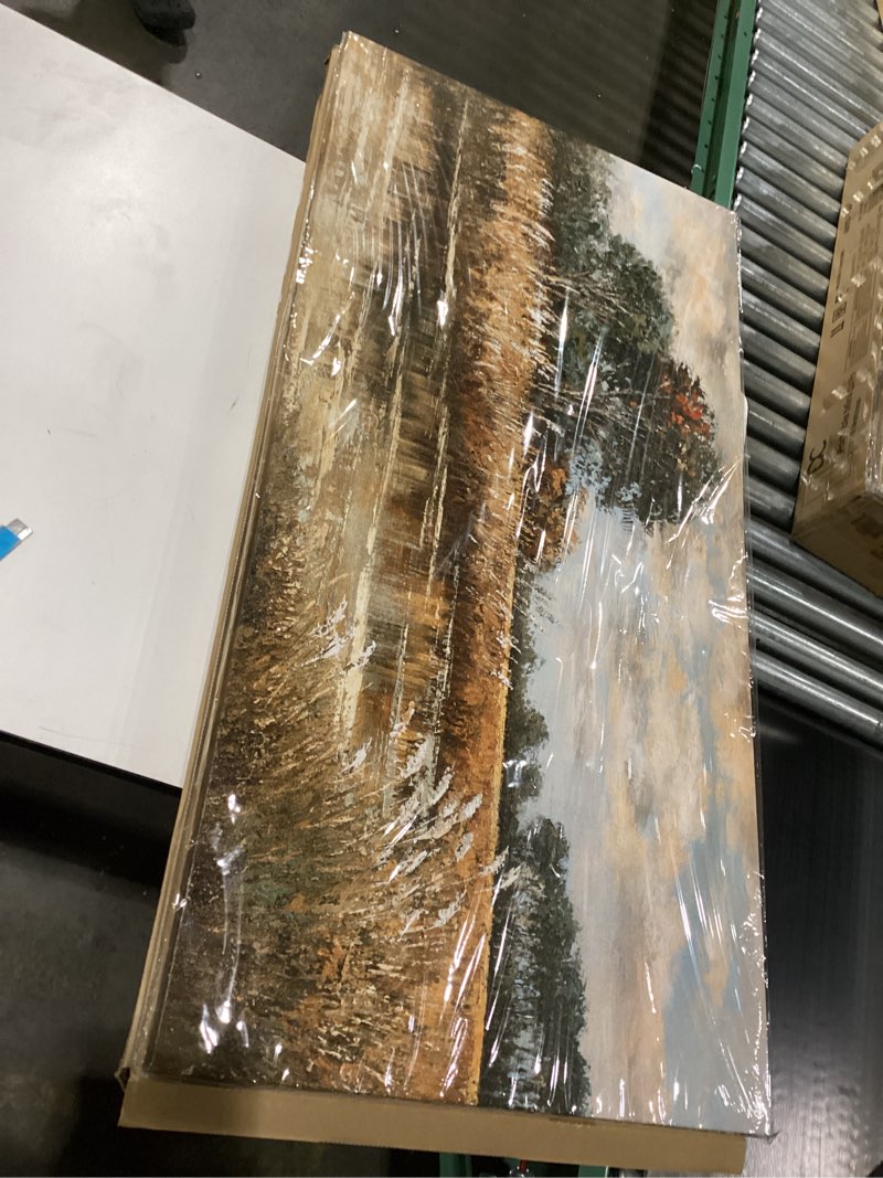 Wall art/ canvas (wilderness) 23”x46”