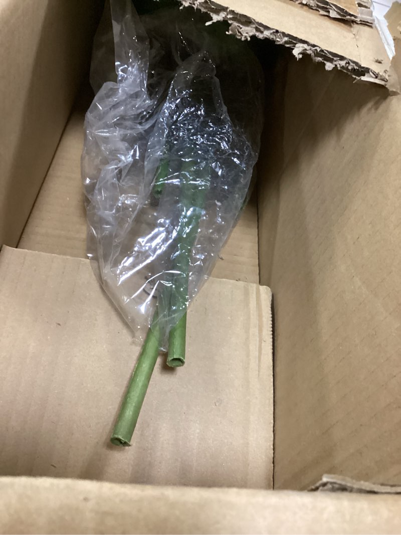 Condition photo showing Good Condition for Yepdin Artificial Bird of Paradise Plant 5 Ft Tall Fake Banana Leaf Plant for Indoors and Outdoors,F