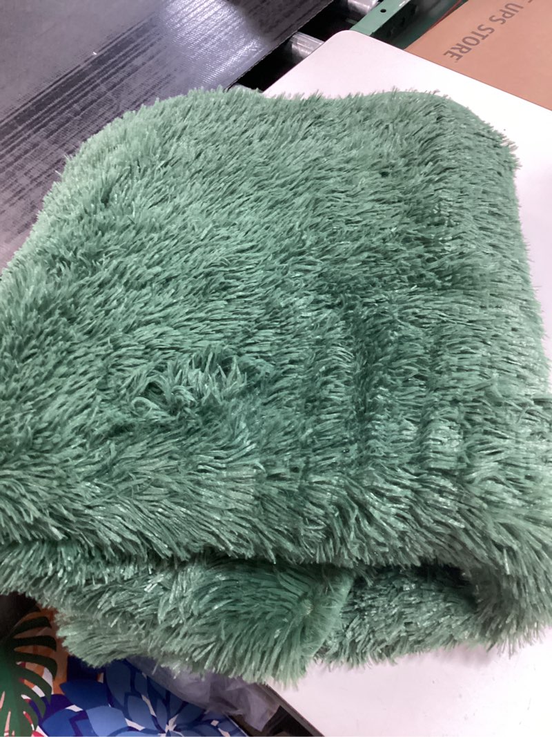 Condition photo showing As Is for Similar Super Fluffy Area Rug for Bedroom, 4x6 Feet Modern Shag Green Rugs, Soft and Cozy Plush Carpet for Kids,Girls Boys and Teens Decorations for Living Room Dorm Nursery Classroom, Dark Green