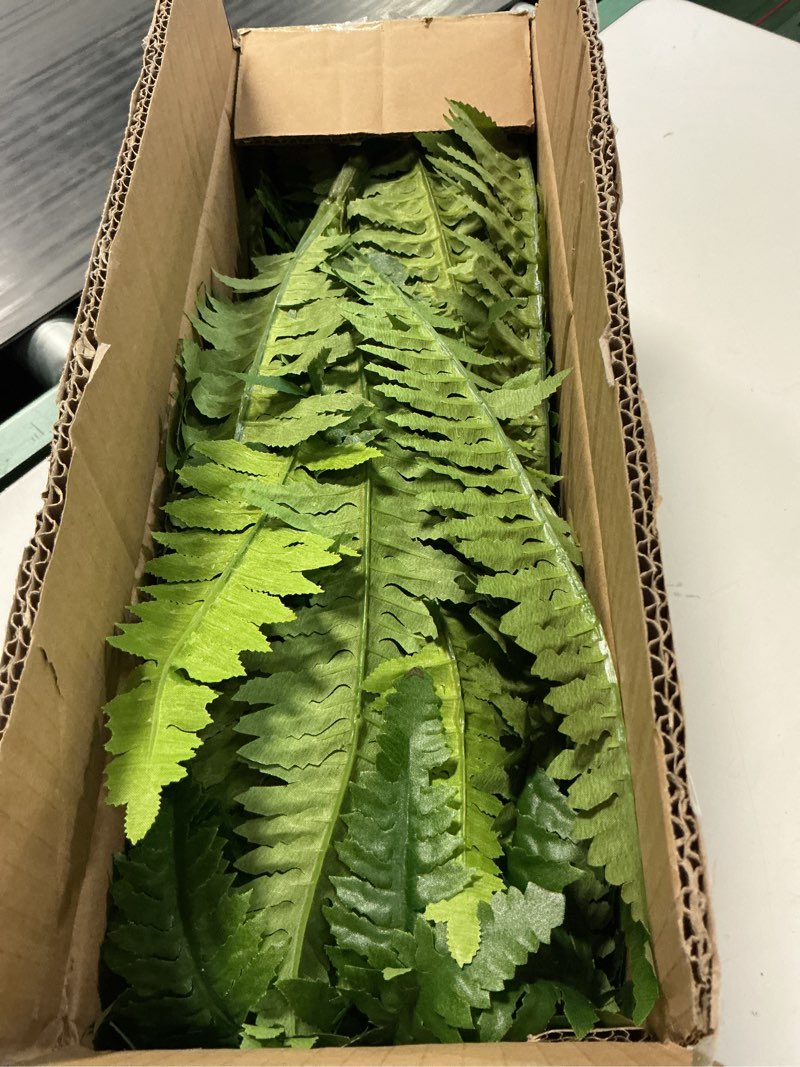 Condition photo showing Good Condition for senjie artificial boston fern 2 set large 55 branches fake ferns for outdoors 35inch faux plant for home living room office decor 35" 2pcs