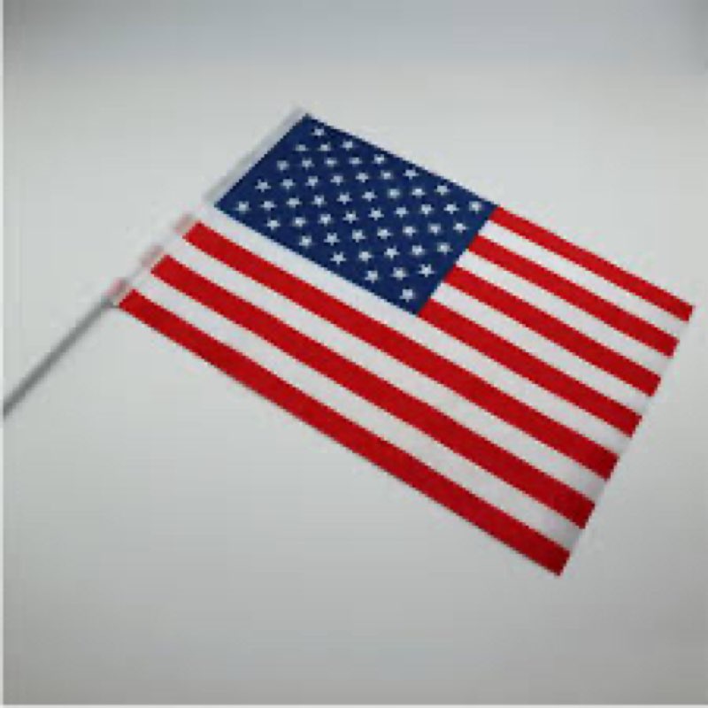 Stick - Heavy Duty Rashel Fabric, Heat Cut Edges, Strong Plastic Pole, Handheld USA Flags for Memorial Day, Parades, Patriotic Decoration