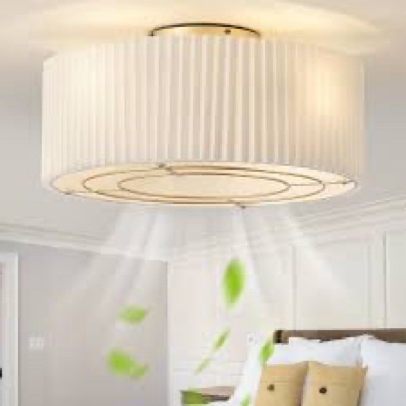 20\" Low Profile Ceiling Fans with Lights, Flush Mount Boho Ceiling Fan with Light Remote Control, Bladeless Caged 6 Speeds for Bedroom, Nursery, Living Room