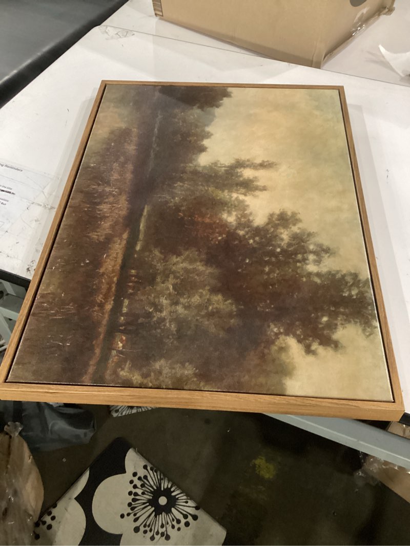 Condition photo showing Good Condition for vintage landscape art prints forest lake scenery wall art moody swamp pictures wall decor nature wilderness illustrations fine art decor framed for living room bedroom farmhouse office - 20x28 inch forest lakes 28"l x 20"w