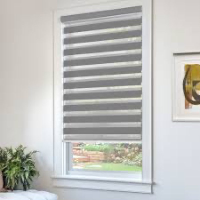CHICOLOGY Zebra Blinds , Roller Window Shades , Blinds for Windows , Roller Shades for Windows , Win