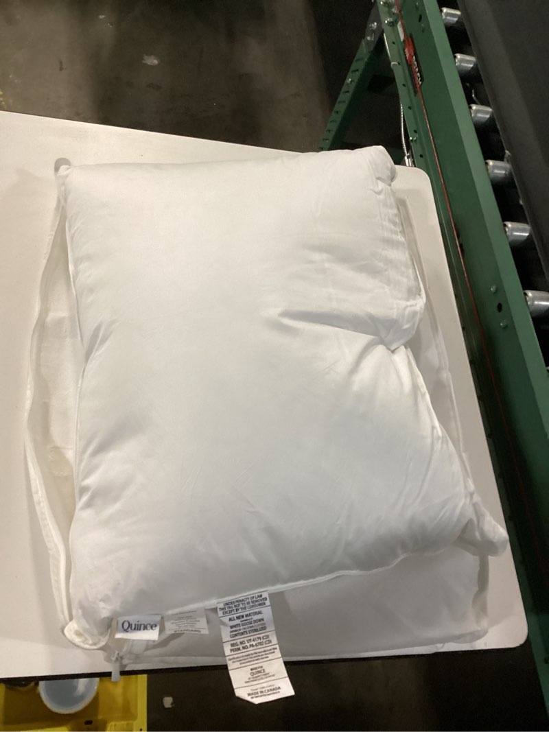 Condition photo showing New/Like New for goose down standard white pillow
