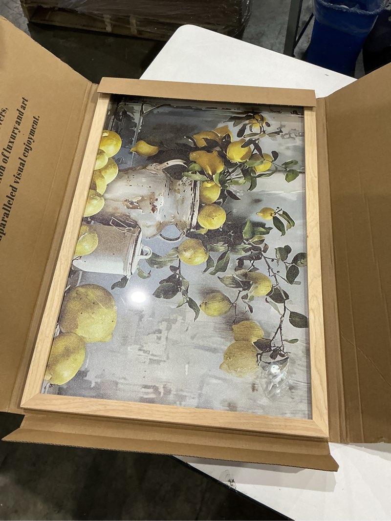 Condition photo showing Good Condition for framed lemon kitchen wall art vintage mustard french's yellow lemon kitchen rustic oil canvas paintings posters prints for dining living room bedroom preparing to hang 16x24in lemon 16x24 inches
