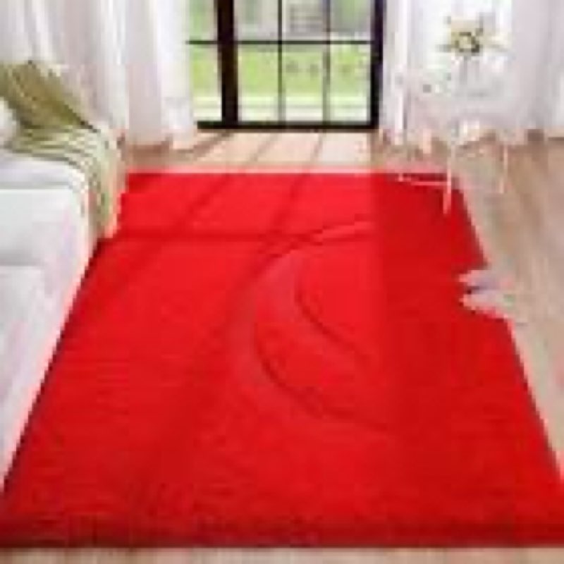 Amearea Modern Area Rugs for Bedroom Living Room, 4x6 Feet Red Thickened Memory Foam Rug, Fluffy Ind