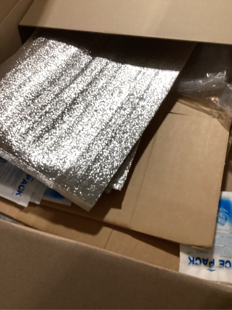 Honoson 4 Pcs Thermal Insulated Shipping Boxes for Frozen Food with Ice Pack and Aluminum Foil Liner