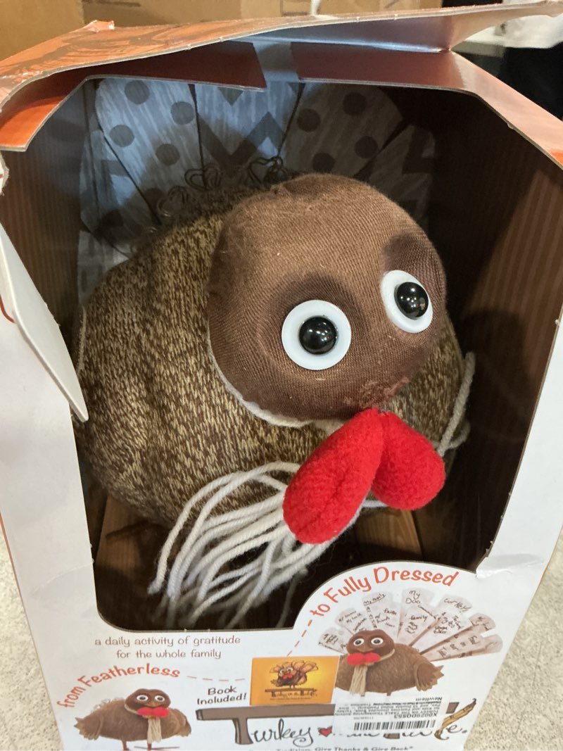 Condition photo showing Good Condition for turkey on the table thanksgiving activity for kids and families (includes book, turkey, pen, & 13 double sided feathers) - give thanks & start a new holiday tradition - doubles as table centerpiece