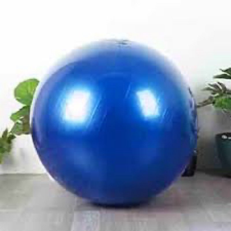 55 CM Exercise Gym Yoga Swiss Ball Fitness Pregnancy Birthing Anti Burst Balls